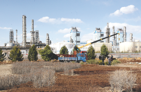 3377体育app 官方下载入口 手机界面展示